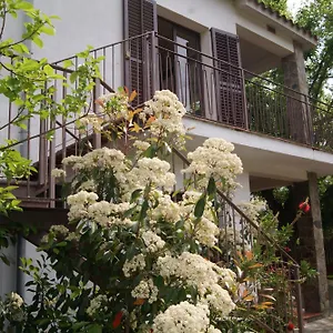  Appartement Con Encanto L'estany 2 Spanje